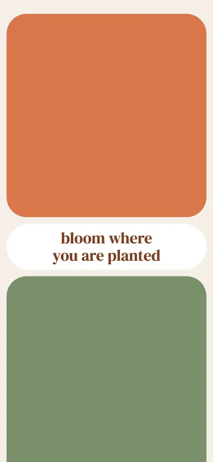 Segmented iPhone lock screen wallpaper with the words “bloom where you are planted” in segmented color blocks